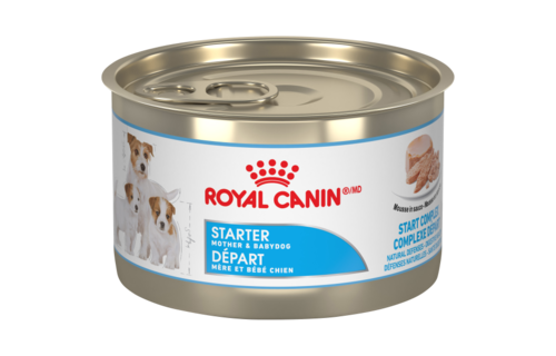 Royal Canin SHN Starter Mousse 145g Dog