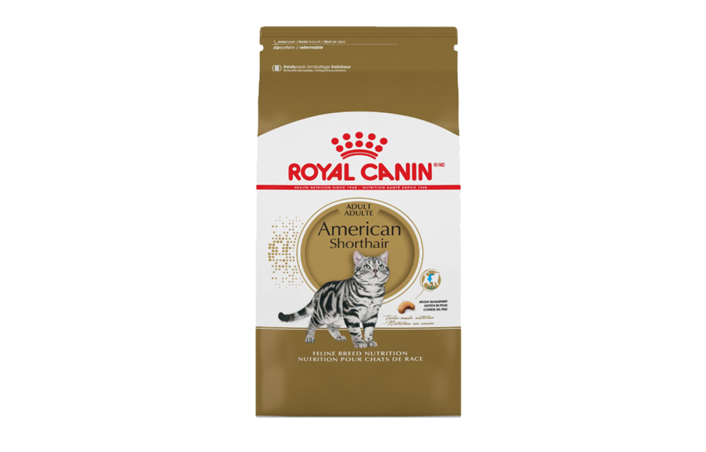 Royal Canin FBN American Shorthair 5.5lb