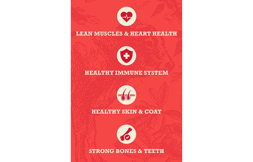 Acana Healthy Grains Red Meat 10.2kg