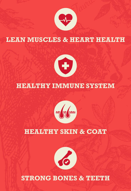 Acana Healthy Grains Red Meat 10.2kg