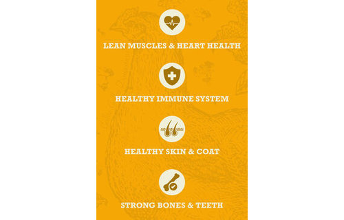 Acana Healthy Grains Poultry 10.2kg