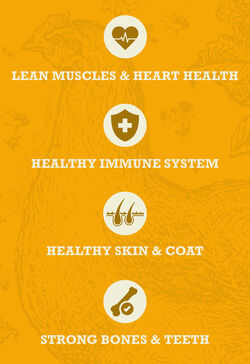 Acana Healthy Grains Poultry 1.8kg