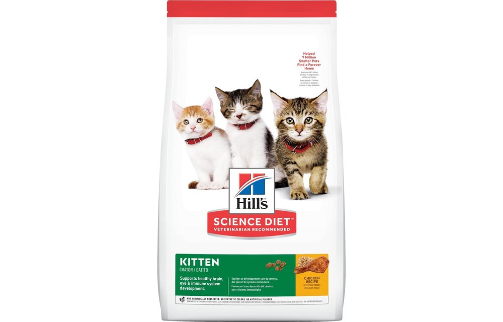 Hill's science diet kitten hotsell