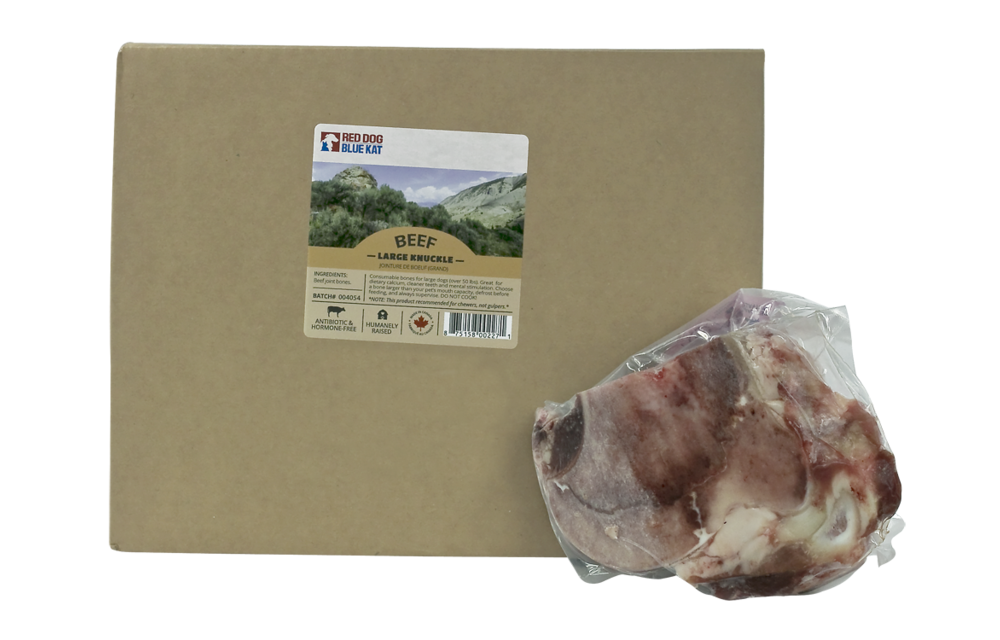 Red Dog Blue Kat Beef Bone Knuckle Large