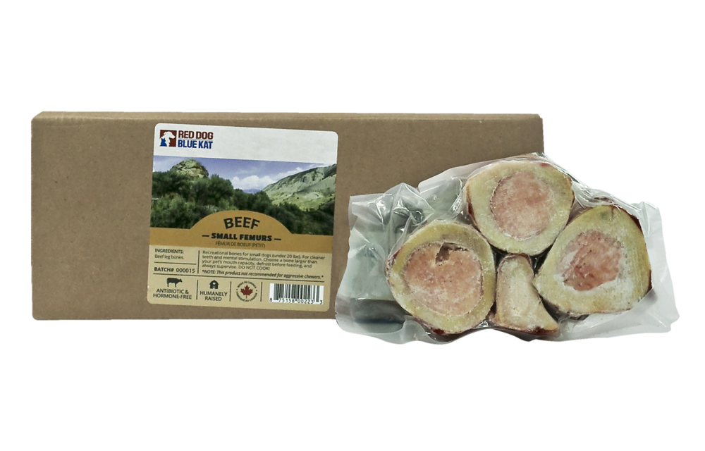 Red Dog Blue Kat Beef Bone Femur Large