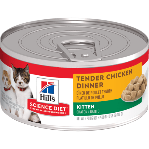 Hills Science Diet Tender Chicken Dinner Kitten 5.5 oz