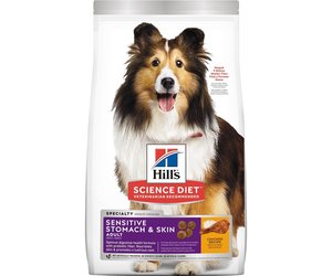 Dog treats for sensitive stomachs outlet