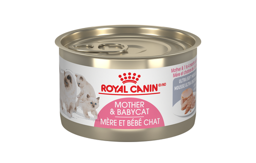 Royal Canin FHN Babycat 145g