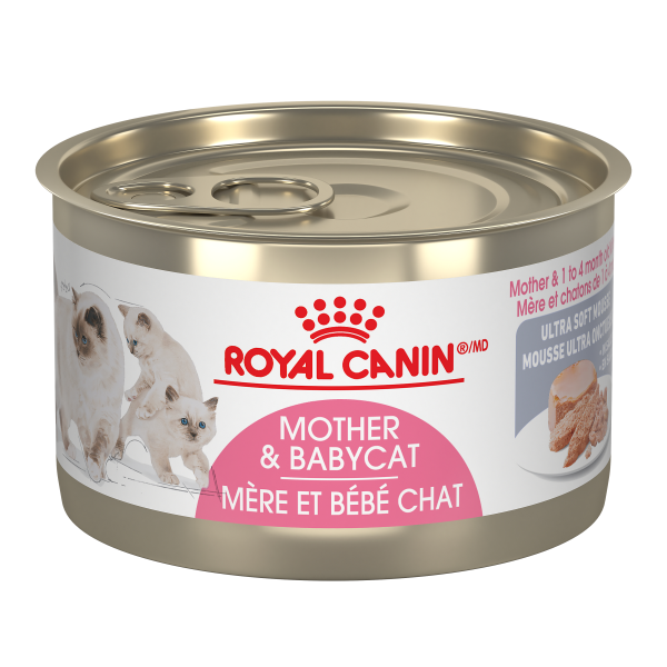 Royal Canin FHN Babycat 145g