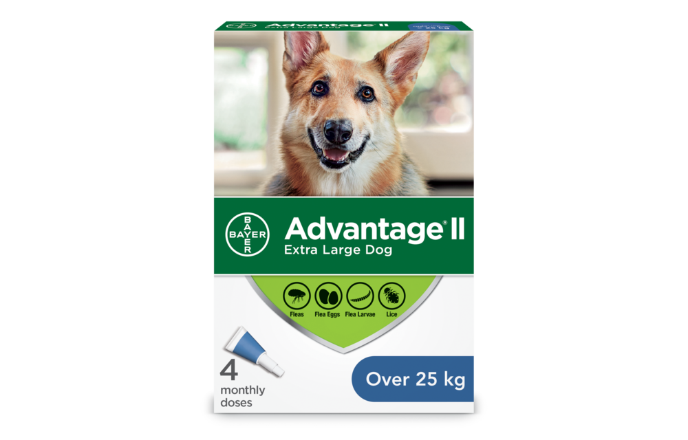 Advantage II XL Dog over 25 kg 4pk