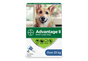 Advantage II XL Dogs over 25kg - 4 Dose
