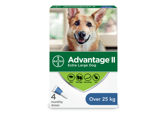 Advantage II XL Dogs over 25kg - 4 Dose