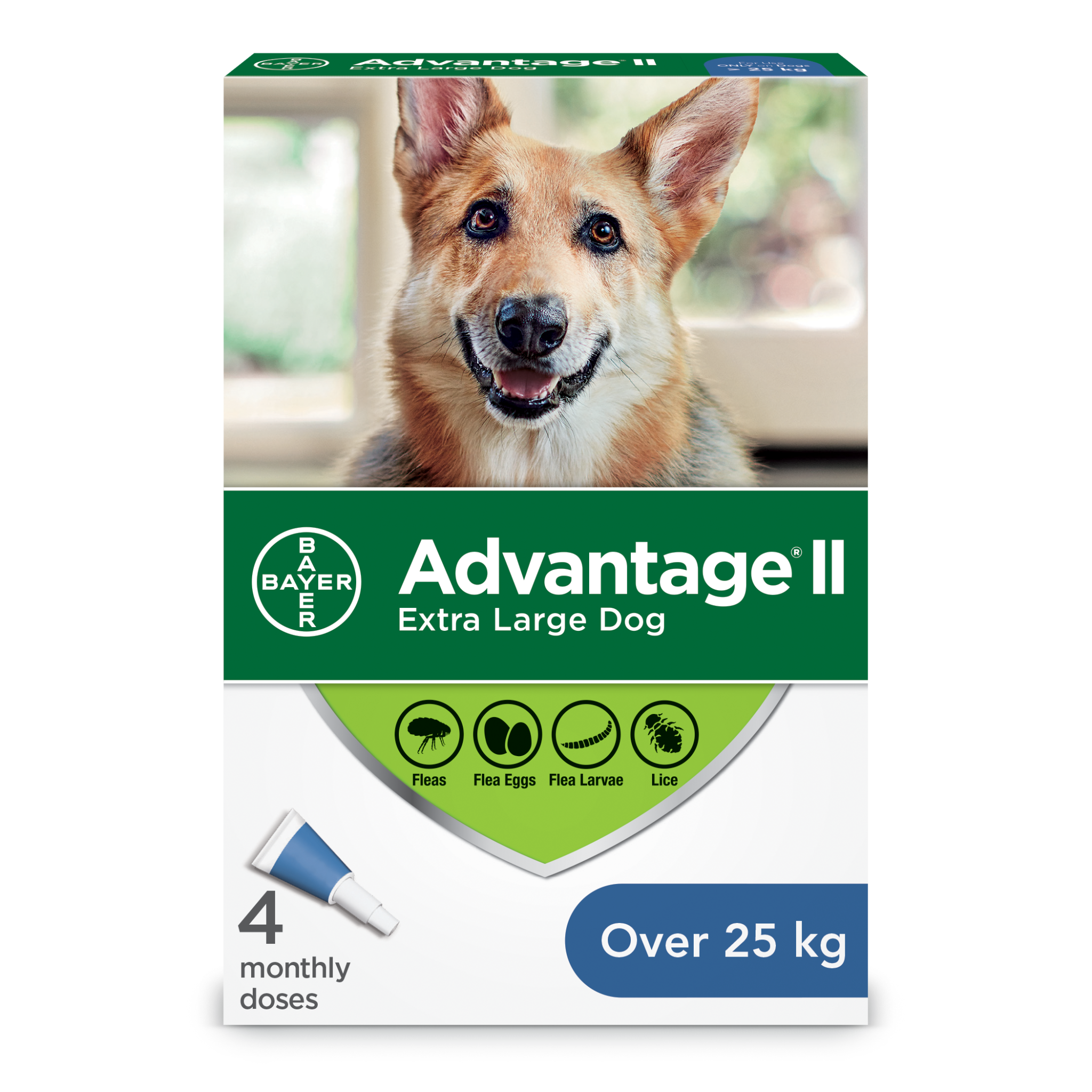 Advantage II XL Dogs over 25kg - 4 Dose