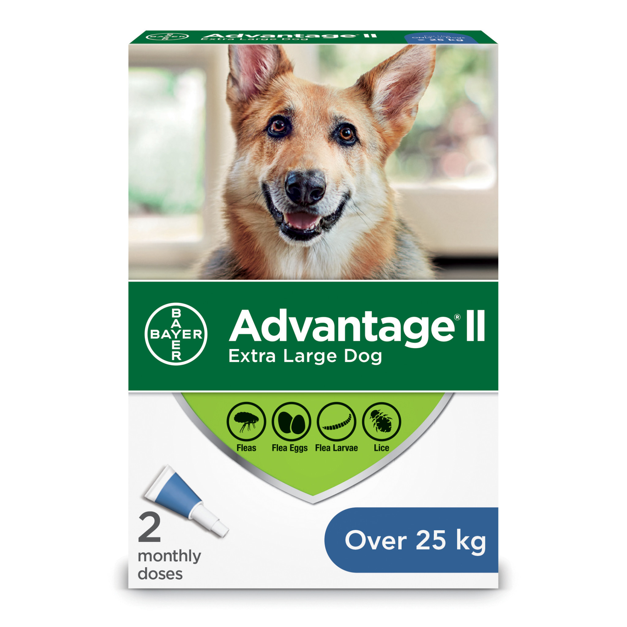 Advantage II XL Dog over 25 kg 2pk