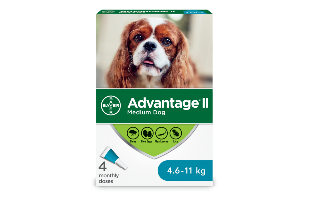 Advantage II Medium Dog 4.6-11 kg 4pk