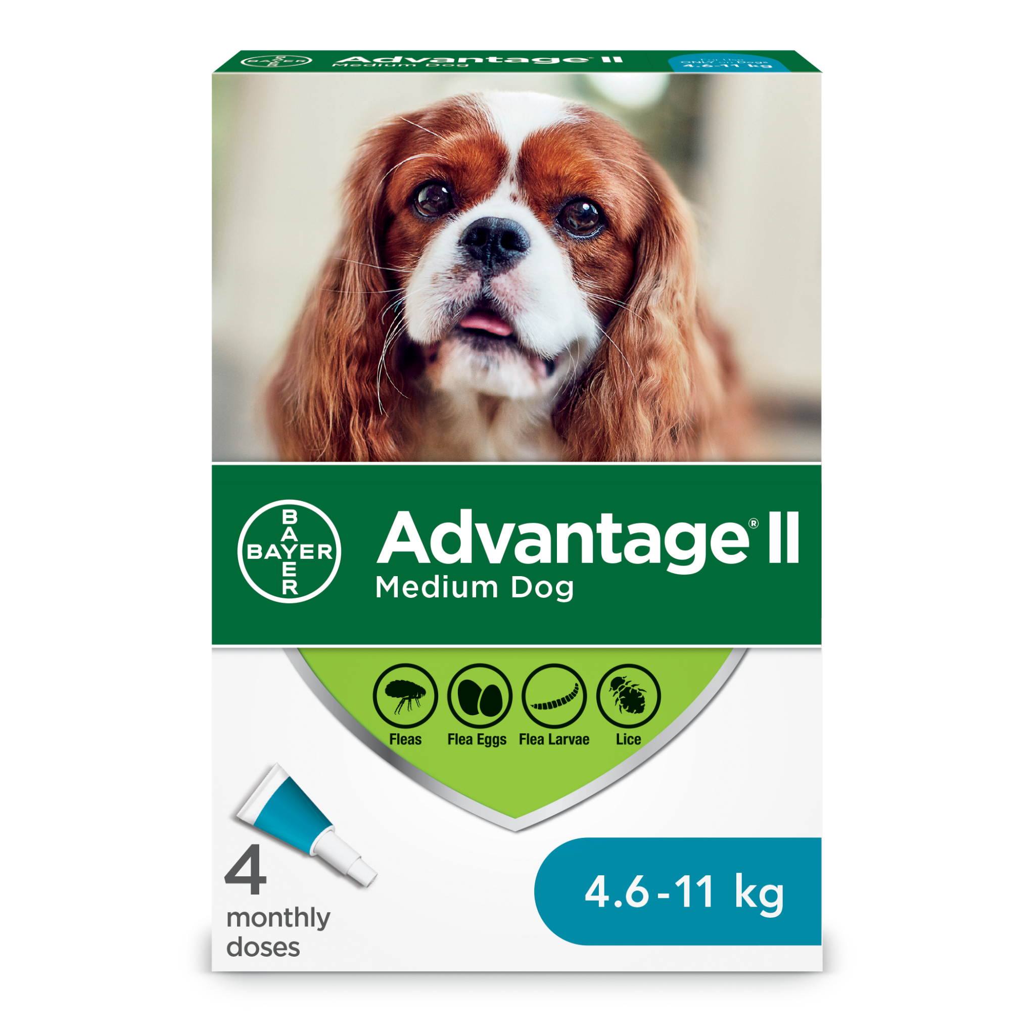 Advantage II Medium Dogs 4.6kg-11kg - 4 Dose