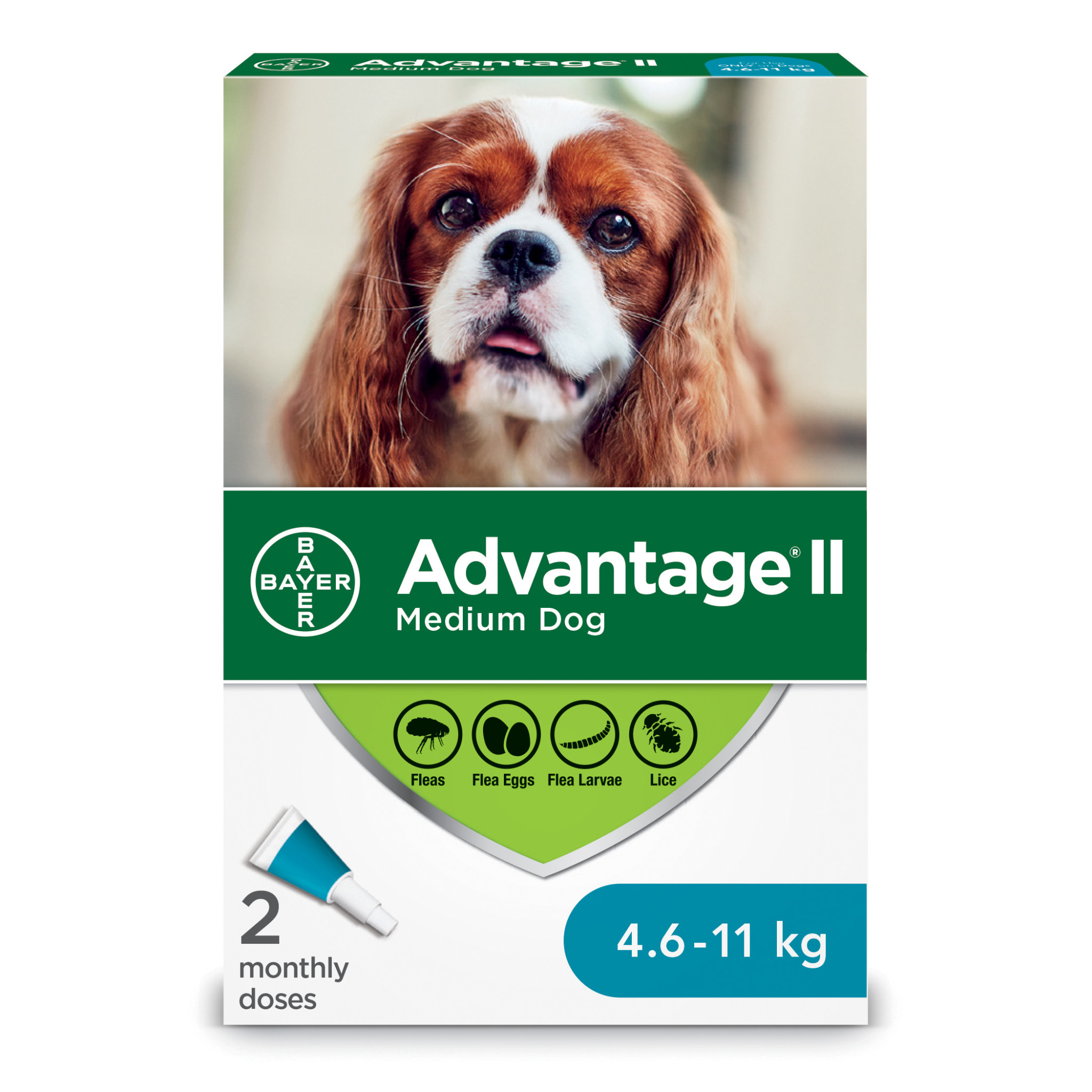 Advantage II Medium Dogs 4.6kg-11kg - 2 Dose