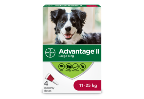 Advantage II Large Dogs 11kg-25kg - 4 Dose