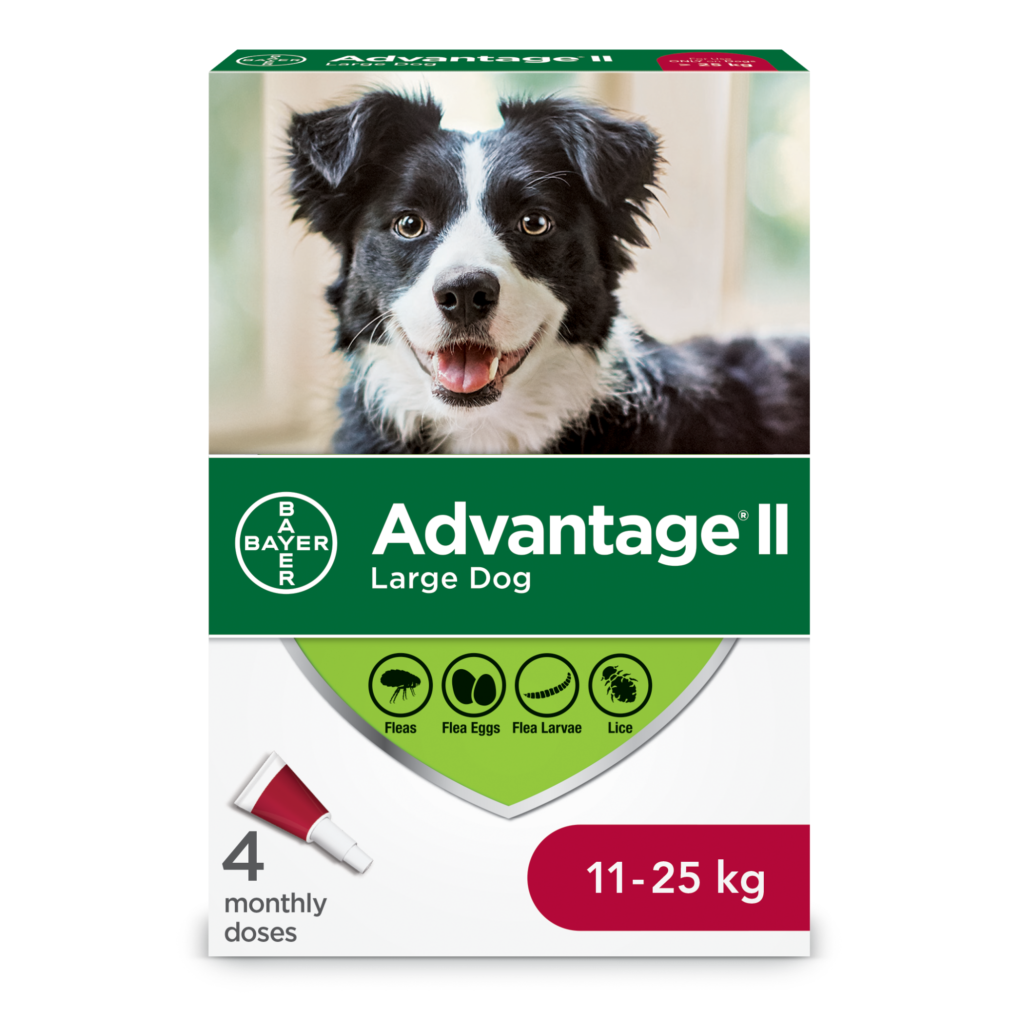 Advantage II Large Dogs 11kg-25kg - 4 Dose