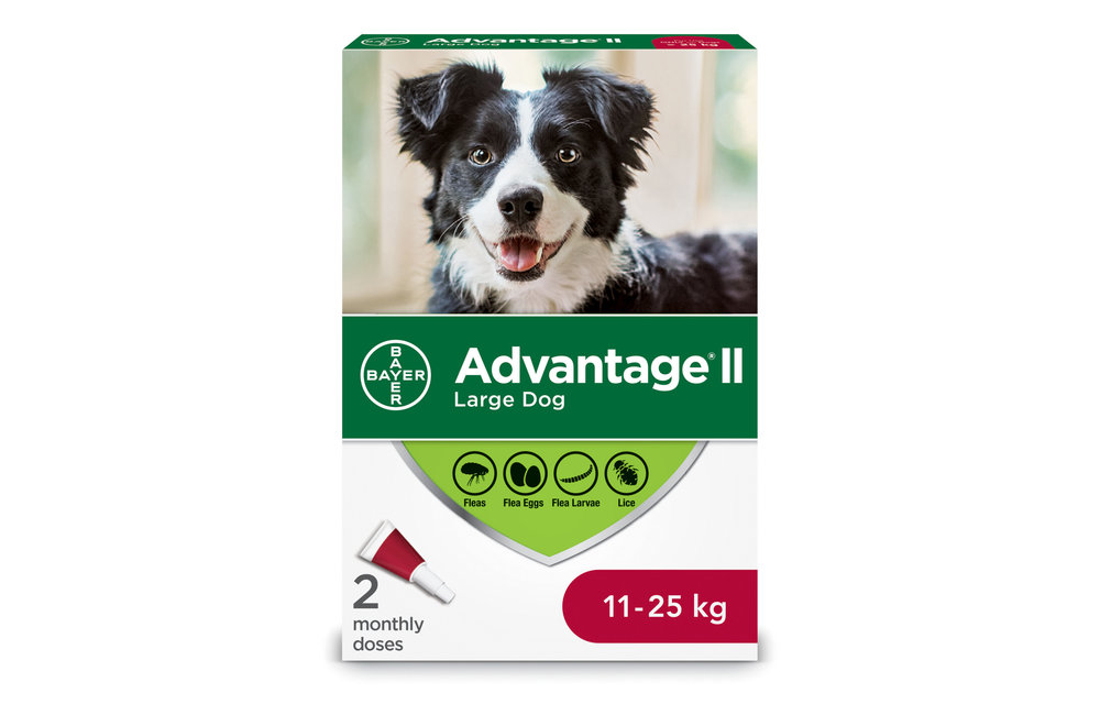 Advantage II Large Dog 11-25 kg 2pk
