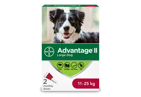 Advantage II Large Dogs 11kg-25kg - 2 Dose