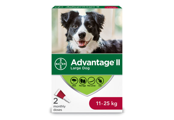 Advantage II Large Dogs 11kg-25kg - 2 Dose