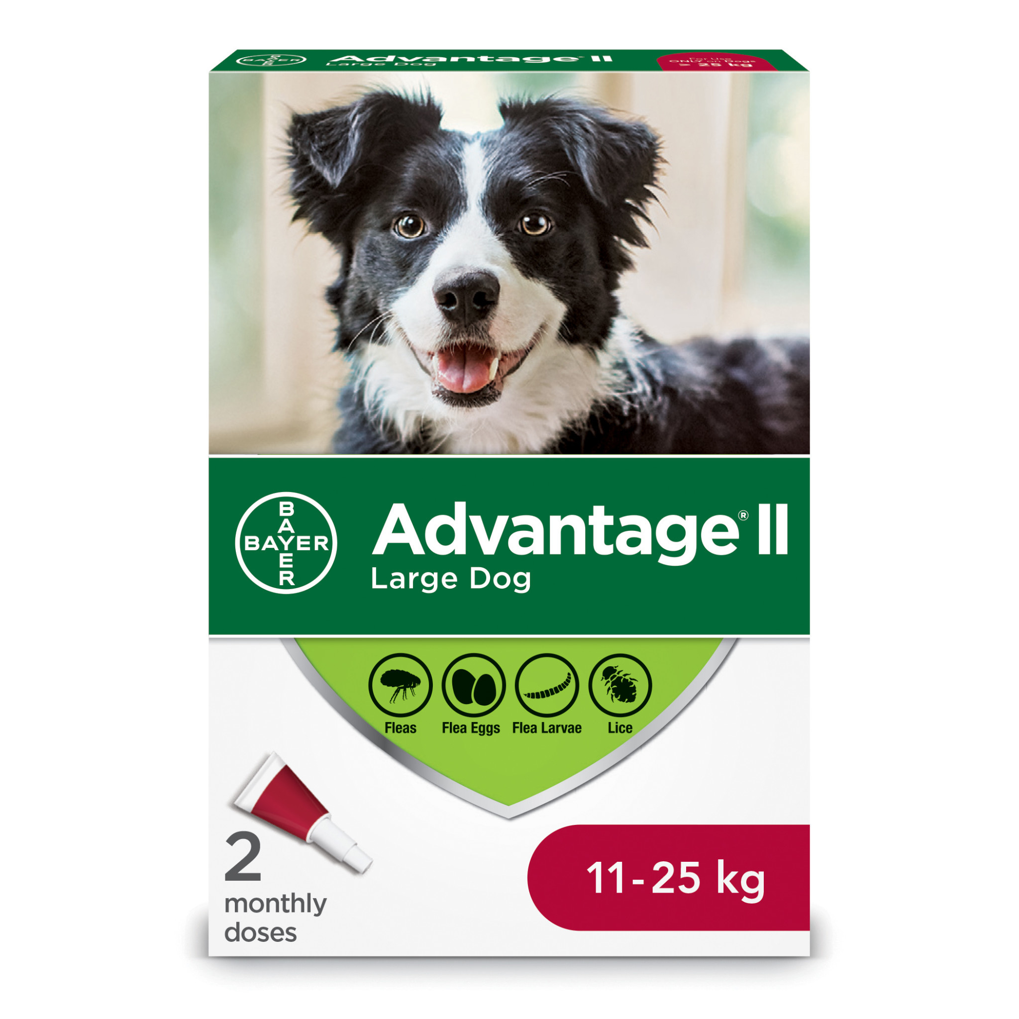 Advantage II Large Dogs 11kg-25kg - 2 Dose