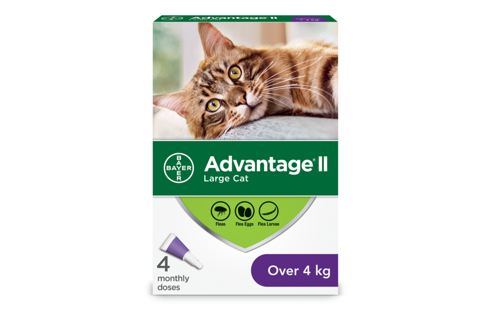 Advantage II Large Cat over 4 kg 4pk
