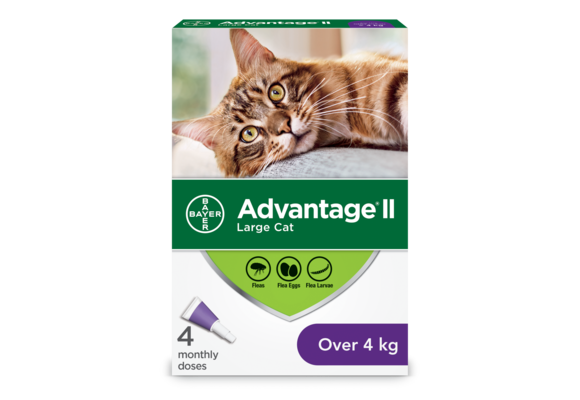 Advantage II Cats over 4kg - 4-Dose
