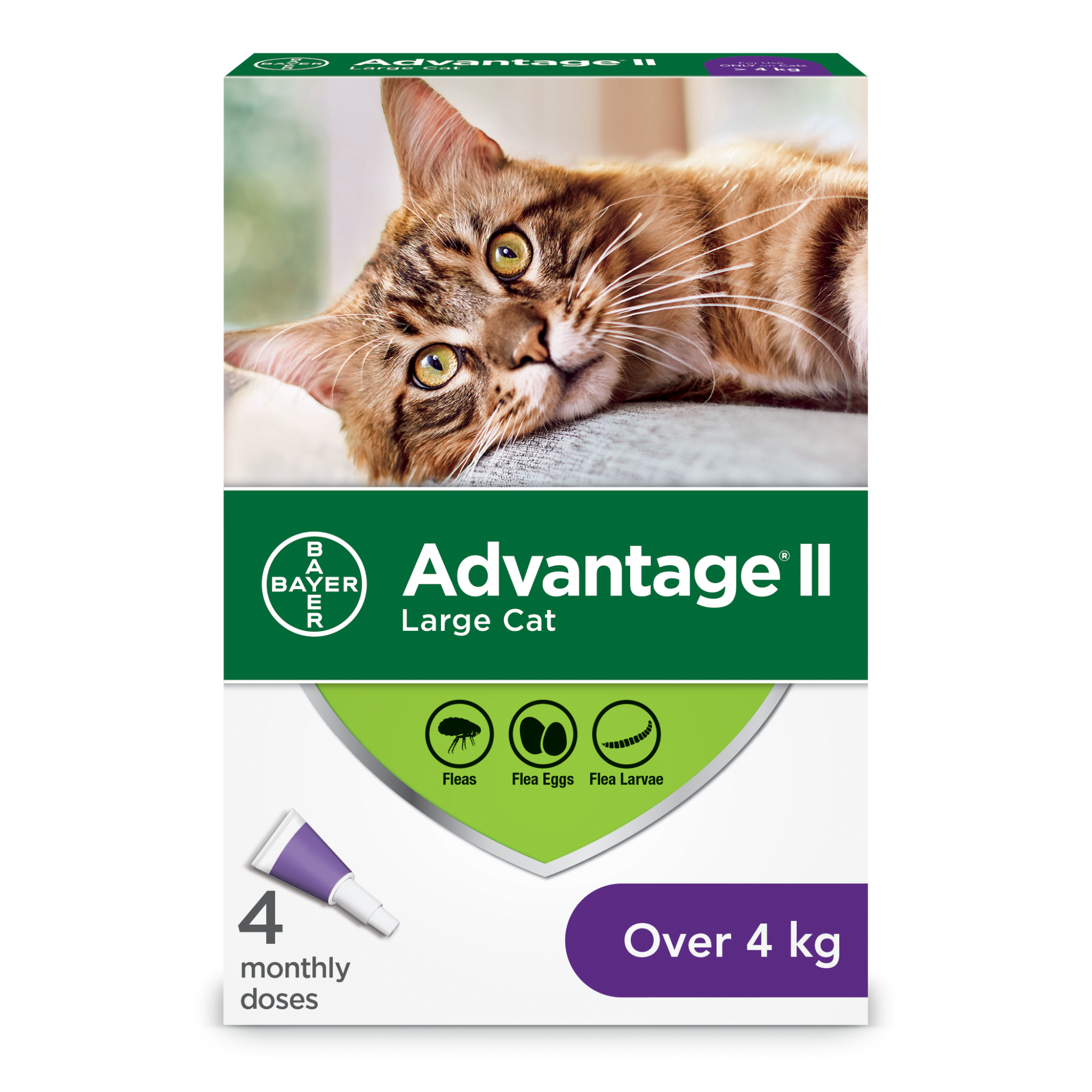 Advantage II Cats over 4kg - 4-Dose