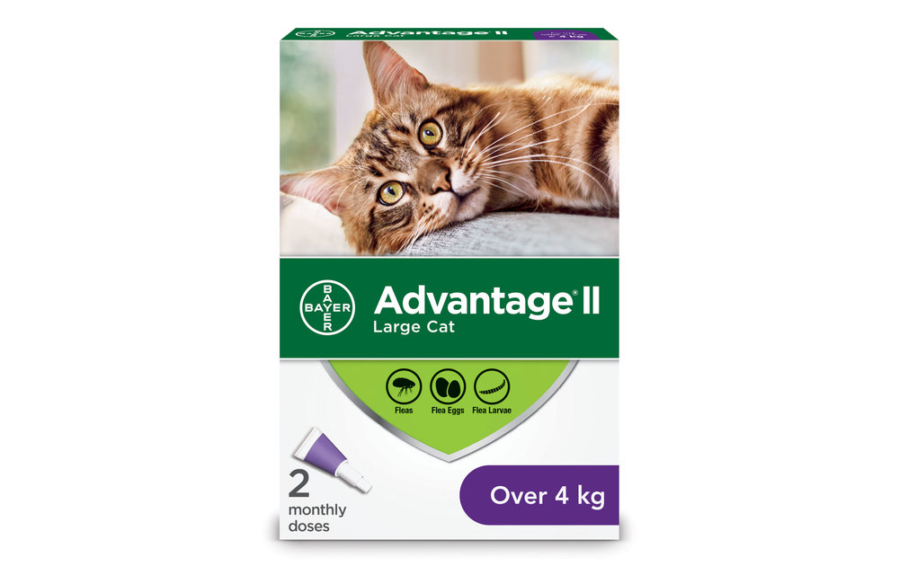 Advantage II Large Cat over 4 kg 2pk