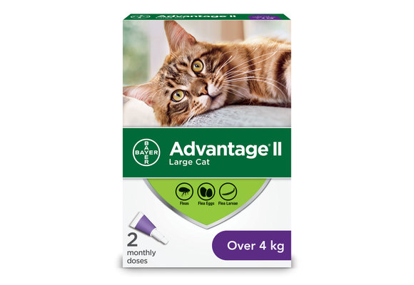 Advantage II Cats over 4kg - 2-Dose