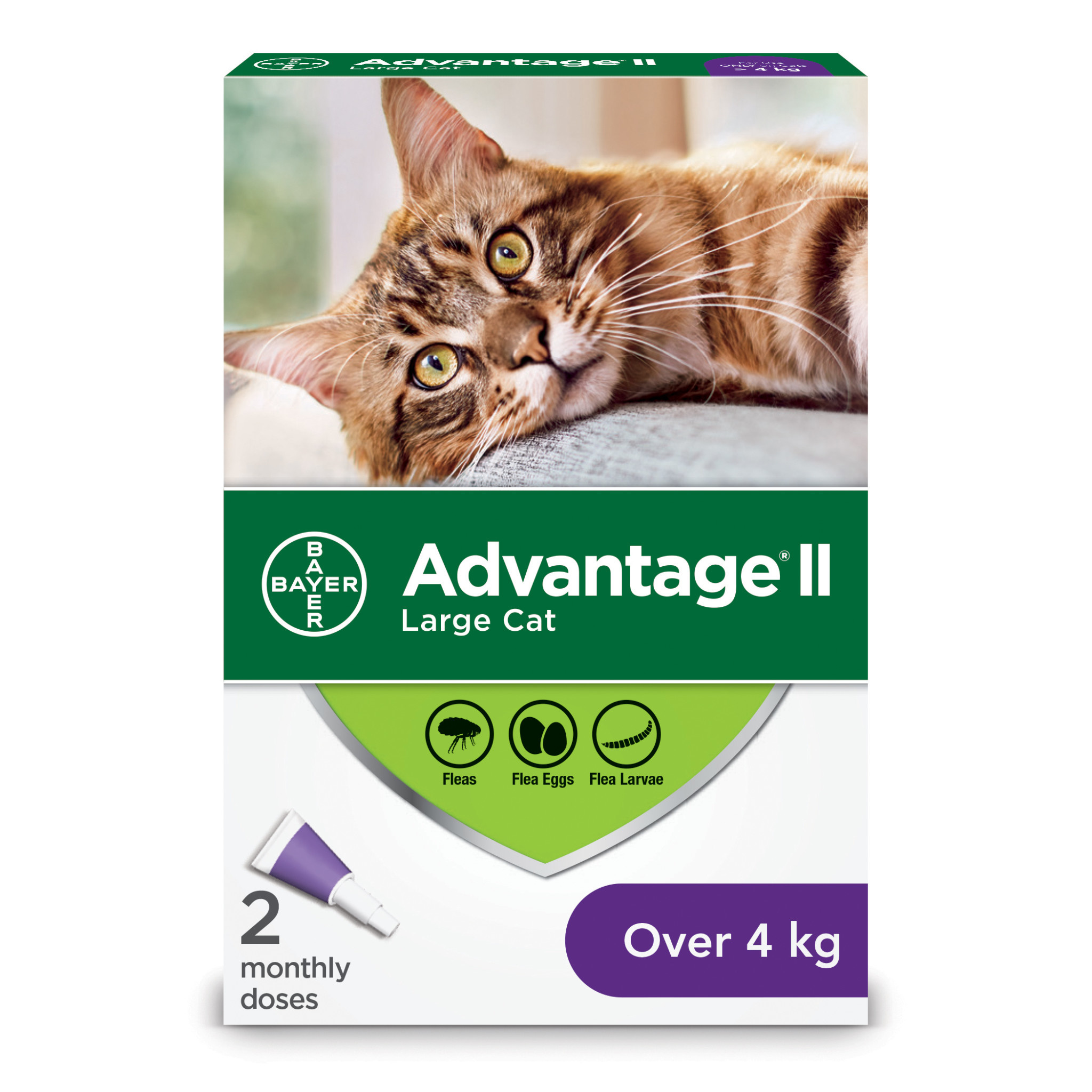 Advantage II Cats over 4kg - 2-Dose