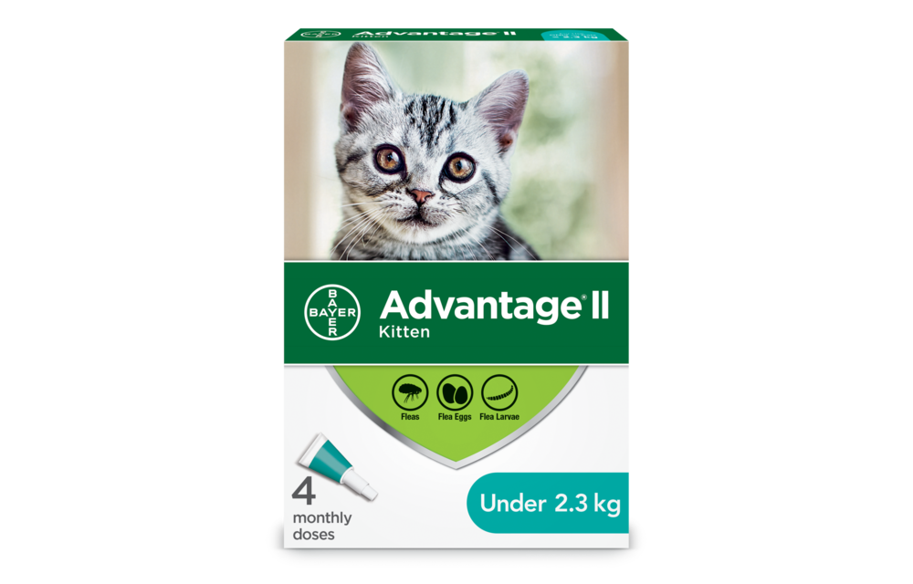 Advantage II Kitten 4pk