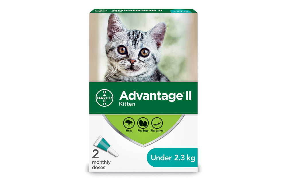 Advantage II Kitten 2pk