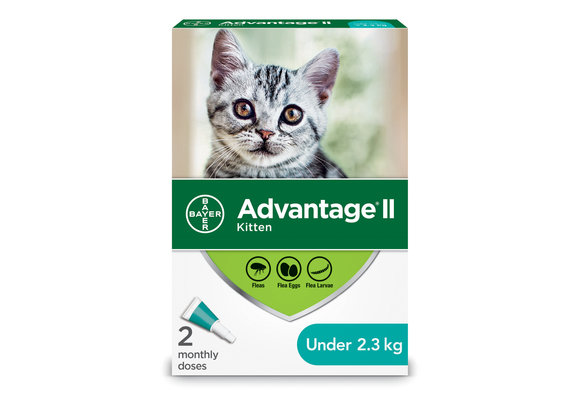 Advantage II Kitten/Cats