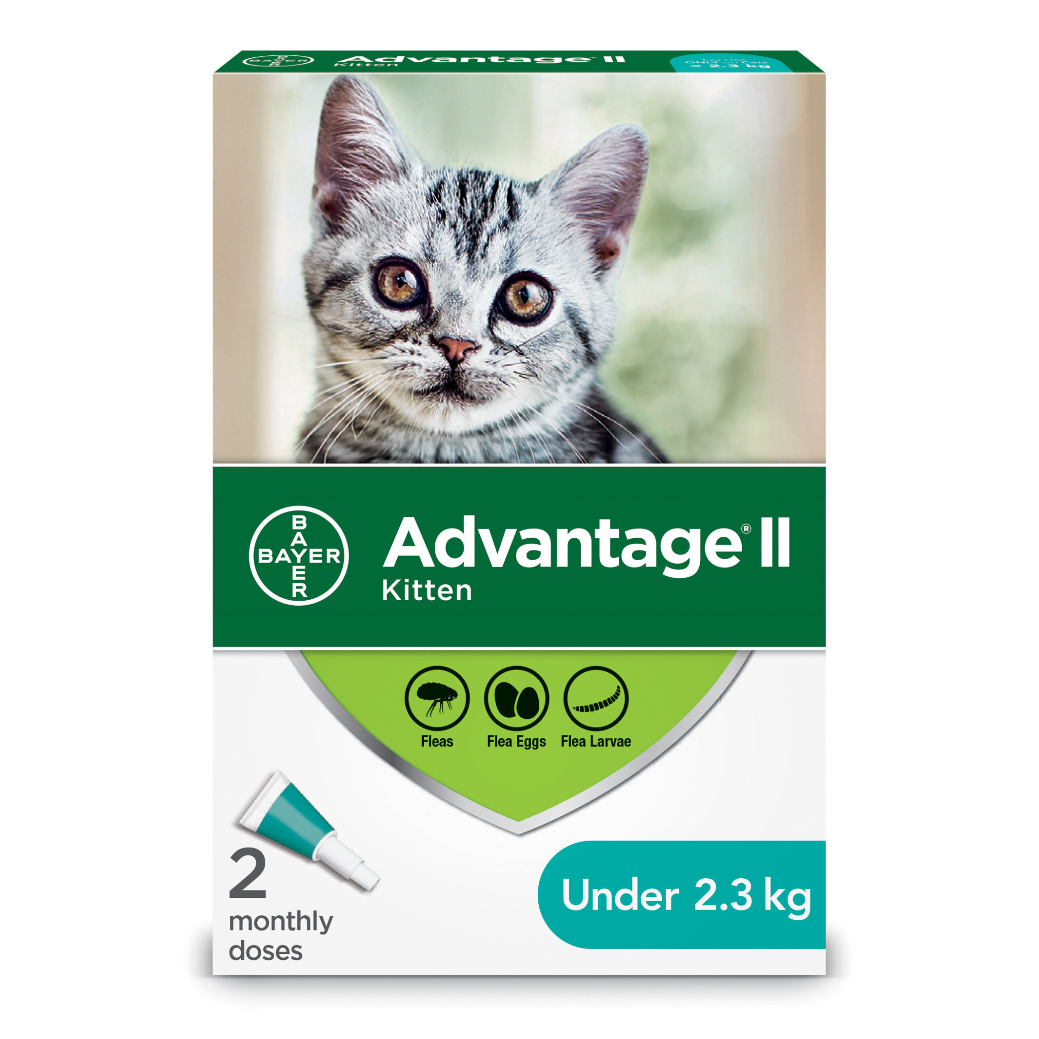 Advantage II Kitten/Cats