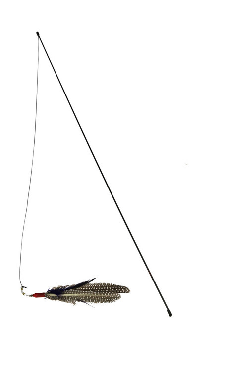 Go Cat Da Bird w Rod