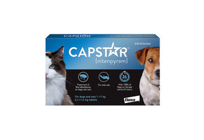 Capstar Oral Flea Tablet Dog & Cat 1-11 kg 6pk