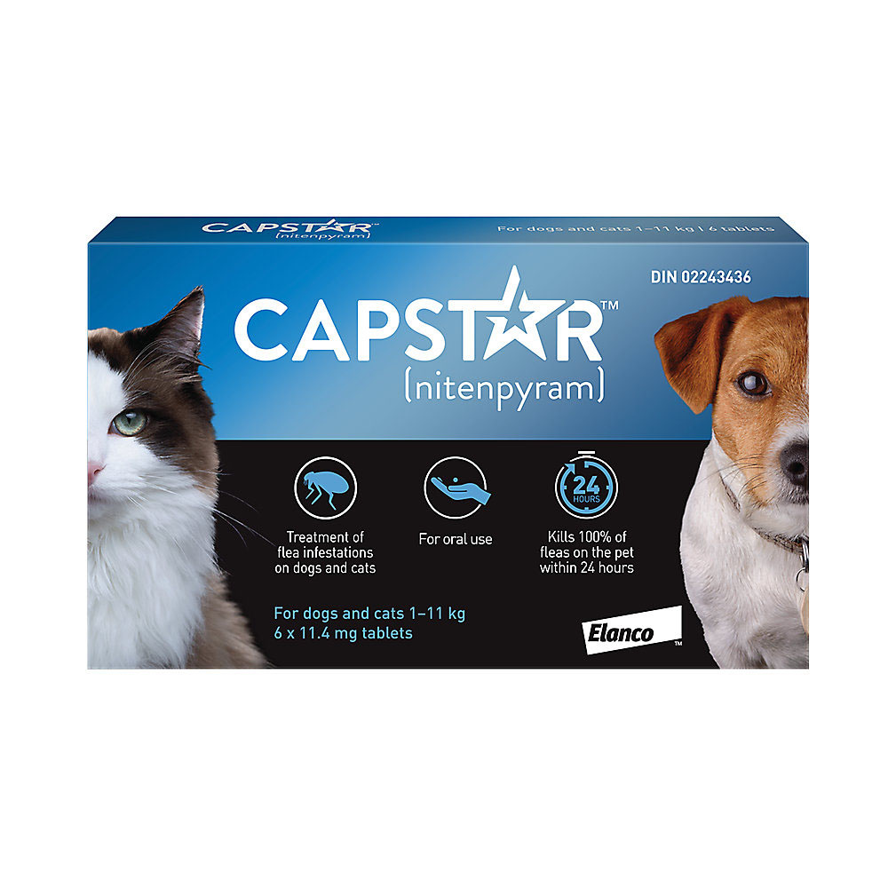 Capstar Oral Flea Tablet Dog & Cat 1-11 kg 6pk