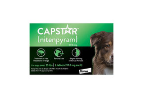 Capstar Oral Flea Tablet Large Dog 11-57 kg 6pk