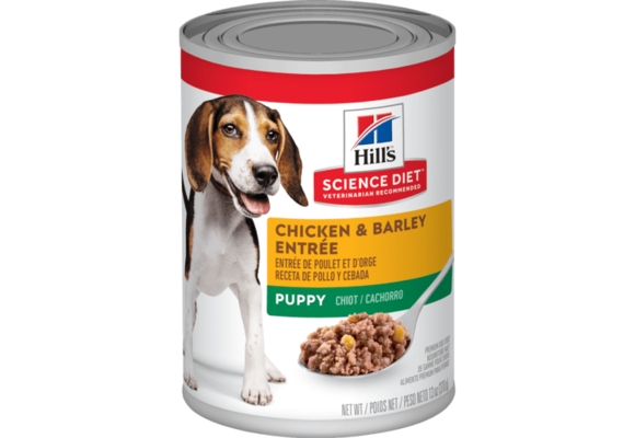 Science Diet Chicken & Barley Puppy 13 oz
