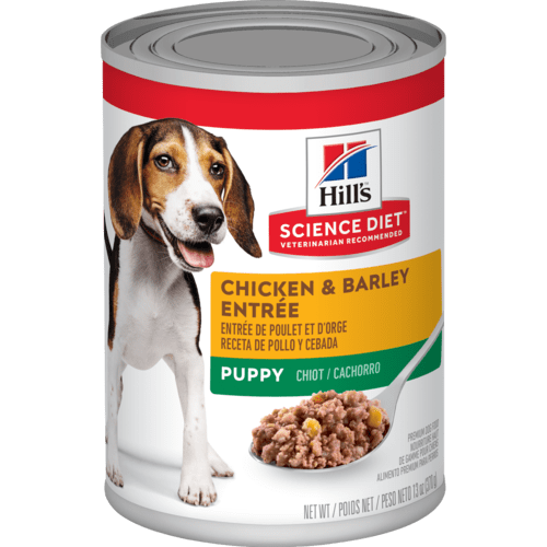 Science Diet Chicken & Barley Puppy 13 oz