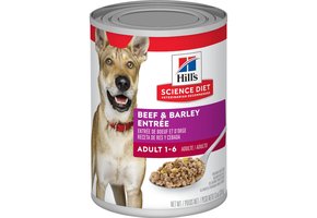 Science Diet Beef & Barley Dog 13.1 oz