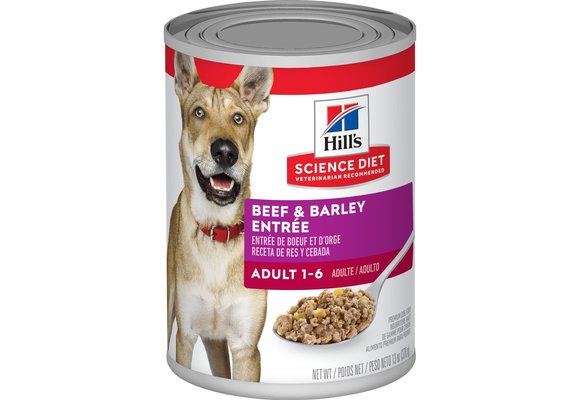Science Diet Beef & Barley Dog 13.1 oz