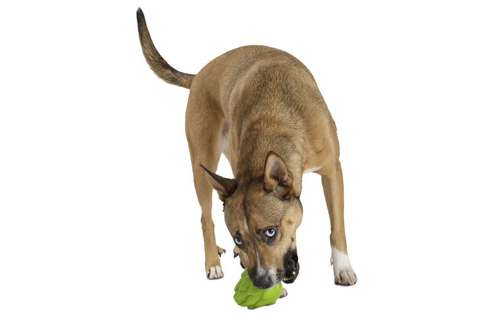 Planet Dog Artichoke 2.25"