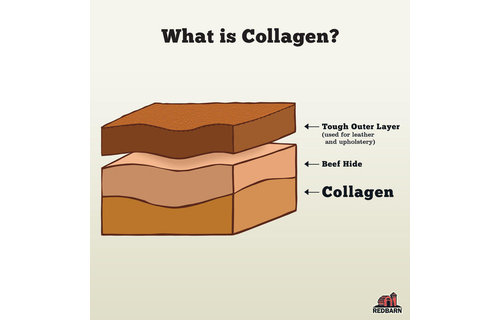 Redbarn Puffed Collagen Braid 12"