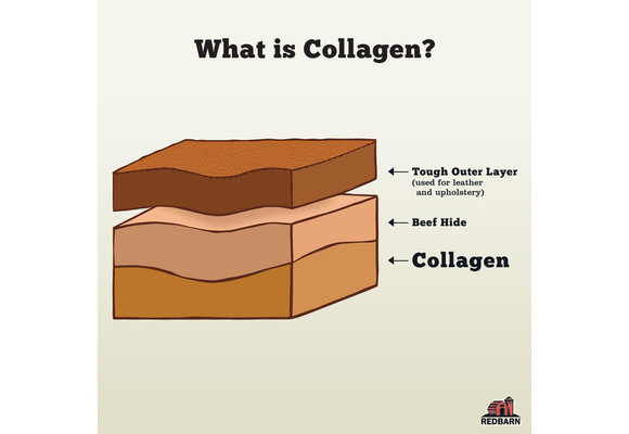 Redbarn Puffed Collagen Braid 12"