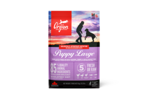 Orijen Puppy Large Breed 6kg