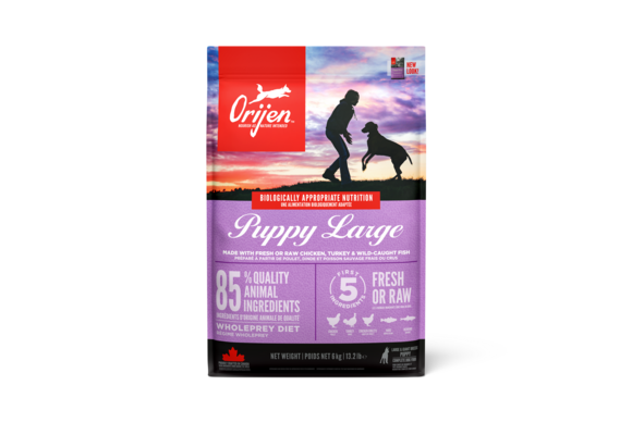 Orijen Puppy Large Breed 6kg
